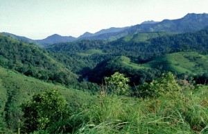 Silent Valley rainforest; photo by  Shekar Dattari; courtesy  thehindu.com