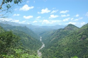 Silent Valley rainforest; photographer unknown; courtesy paradise-kerala.com